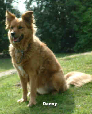 Danny, one of the regular visitors to the Arboretum